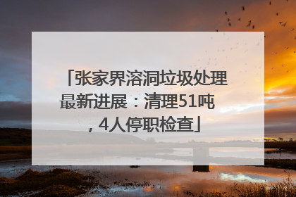 张家界溶洞垃圾处理最新进展：清理51吨，4人停职检查