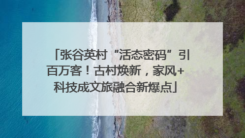 张谷英村“活态密码”引百万客！古村焕新，家风+科技成文旅融合新爆点