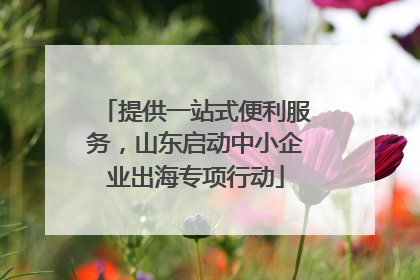 提供一站式便利服务，山东启动中小企业出海专项行动
