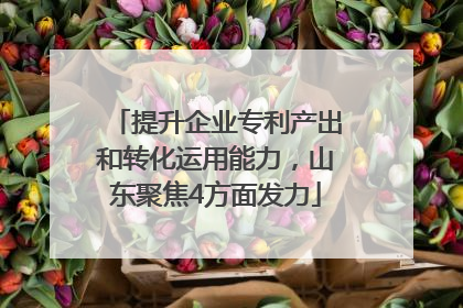 提升企业专利产出和转化运用能力，山东聚焦4方面发力