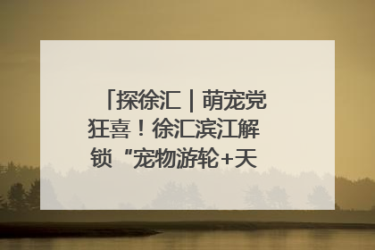 探徐汇｜萌宠党狂喜！徐汇滨江解锁“宠物游轮+天台乐园”双玩法