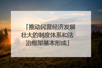 推动民营经济发展壮大的制度体系和法治框架基本形成