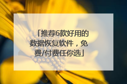 推荐6款好用的数据恢复软件，免费/付费任你选