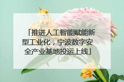 推进人工智能赋能新型工业化，宁波数字安全产业基地投运上线