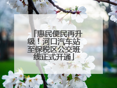 惠民便民再升级！河口汽车站至保税区公交班线正式开通