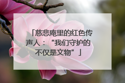 慈悲庵里的红色传声人：“我们守护的不仅是文物”