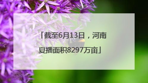 截至6月13日，河南夏播面积8297万亩