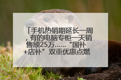 手机热销期延长一周，有的电脑专柜一天销售额25万……“国补+店补”双重优惠点燃德州“考后经济”