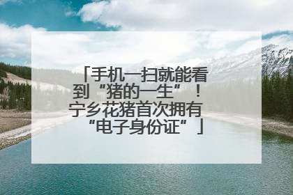 手机一扫就能看到“猪的一生”！宁乡花猪首次拥有“电子身份证”