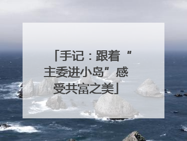 手记：跟着“主委进小岛”感受共富之美