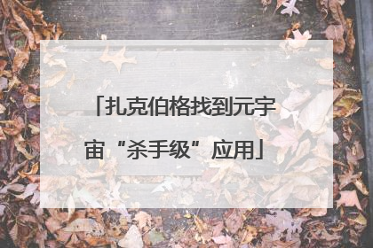 扎克伯格找到元宇宙“杀手级”应用