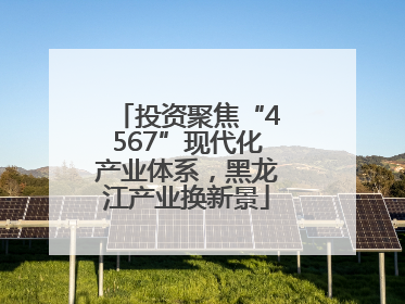 投资聚焦“4567”现代化产业体系，黑龙江产业换新景