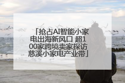 抢占AI智能小家电出海新风口 超100家跨境卖家探访慈溪小家电产业带
