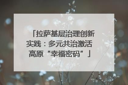 拉萨基层治理创新实践：多元共治激活高原“幸福密码”