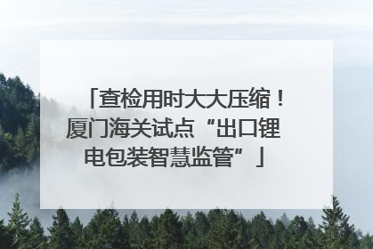 查检用时大大压缩！厦门海关试点“出口锂电包装智慧监管”