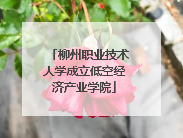 柳州职业技术大学成立低空经济产业学院