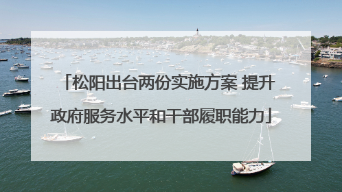 松阳出台两份实施方案 提升政府服务水平和干部履职能力