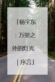 杨宇东：万里之外的灯光｜序言