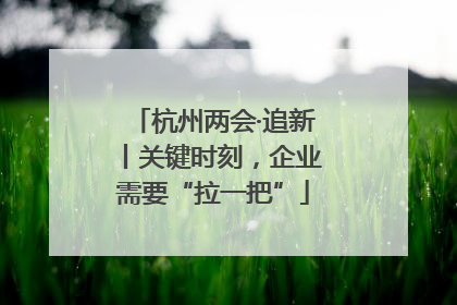 杭州两会·追新丨关键时刻，企业需要“拉一把”