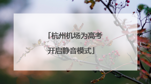 杭州机场为高考开启静音模式