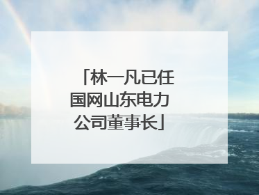 林一凡已任国网山东电力公司董事长