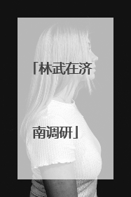 林武在济南调研