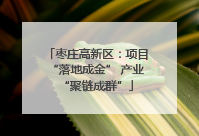 枣庄高新区：项目“落地成金” 产业“聚链成群”