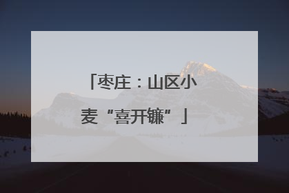枣庄：山区小麦“喜开镰”