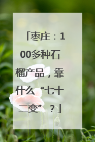 枣庄：100多种石榴产品，靠什么“七十二变”？