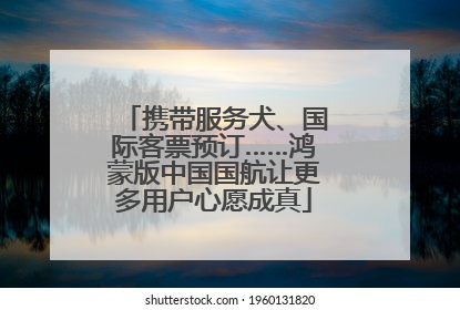 携带服务犬、国际客票预订……鸿蒙版中国国航让更多用户心愿成真