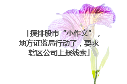 摸排股市“小作文”，地方证监局行动了，要求辖区公司上报线索