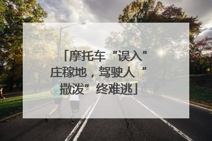 摩托车“误入”庄稼地，驾驶人“撒泼”终难逃