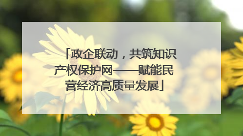政企联动，共筑知识产权保护网——赋能民营经济高质量发展