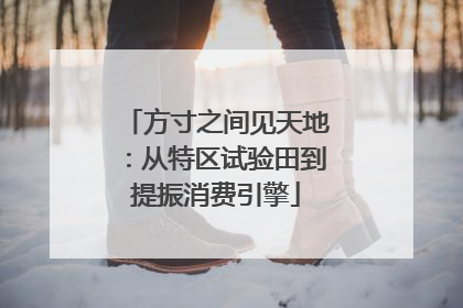 方寸之间见天地：从特区试验田到提振消费引擎