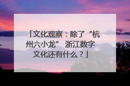 文化观察：除了“杭州六小龙” 浙江数字文化还有什么？
