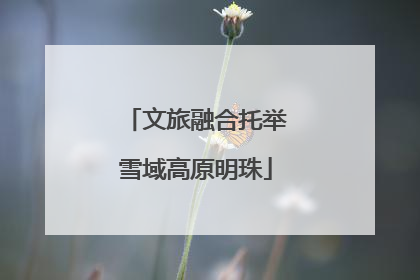 文旅融合托举雪域高原明珠
