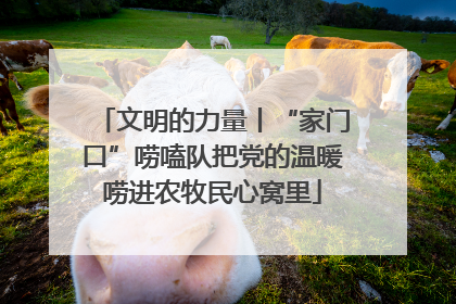 文明的力量丨“家门口”唠嗑队把党的温暖唠进农牧民心窝里