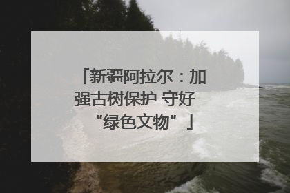 新疆阿拉尔：加强古树保护 守好“绿色文物”