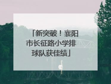 新突破！襄阳市长征路小学排球队获佳绩