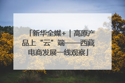 新华全媒+｜高原产品上“云”端——西藏电商发展一线观察
