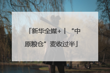 新华全媒+丨“中原粮仓”麦收过半