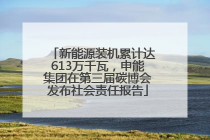 新能源装机累计达613万千瓦，申能集团在第三届碳博会发布社会责任报告