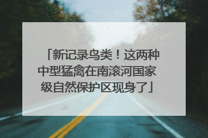 新记录鸟类！这两种中型猛禽在南滚河国家级自然保护区现身了