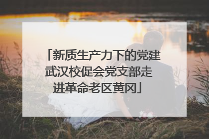 新质生产力下的党建 武汉校促会党支部走进革命老区黄冈