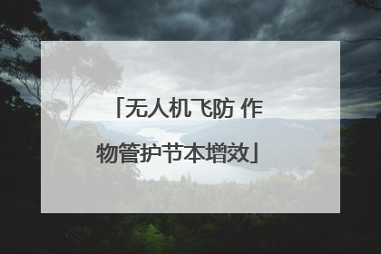 无人机飞防 作物管护节本增效
