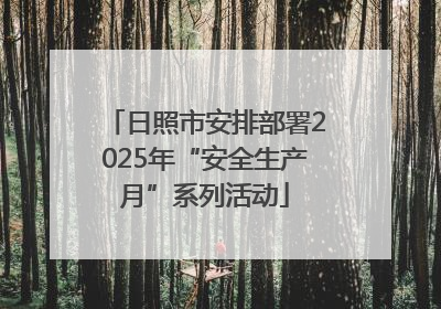 日照市安排部署2025年“安全生产月”系列活动