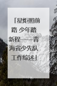 星炬照前路 少年踏新程——青海省少先队工作综述