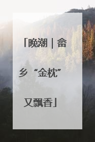 晚潮｜畲乡“金枕”又飘香