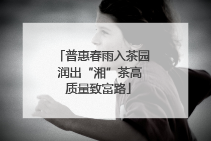 普惠春雨入茶园 润出“湘”茶高质量致富路