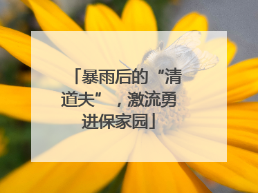 暴雨后的“清道夫”，激流勇进保家园